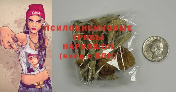 шишки Кулебаки