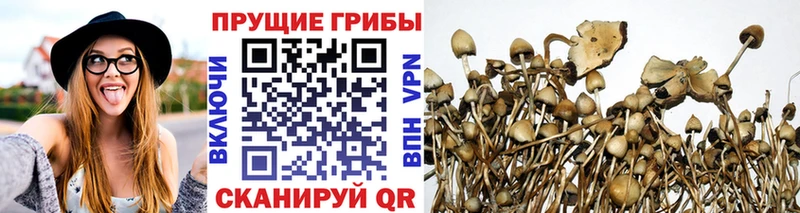 Купить  Пролетарск  Псилоцибиновые грибы прущие грибы 