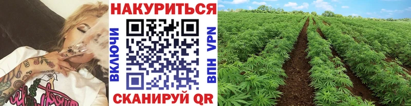 Купить закладки  Пролетарск  Марихуана OG Kush 